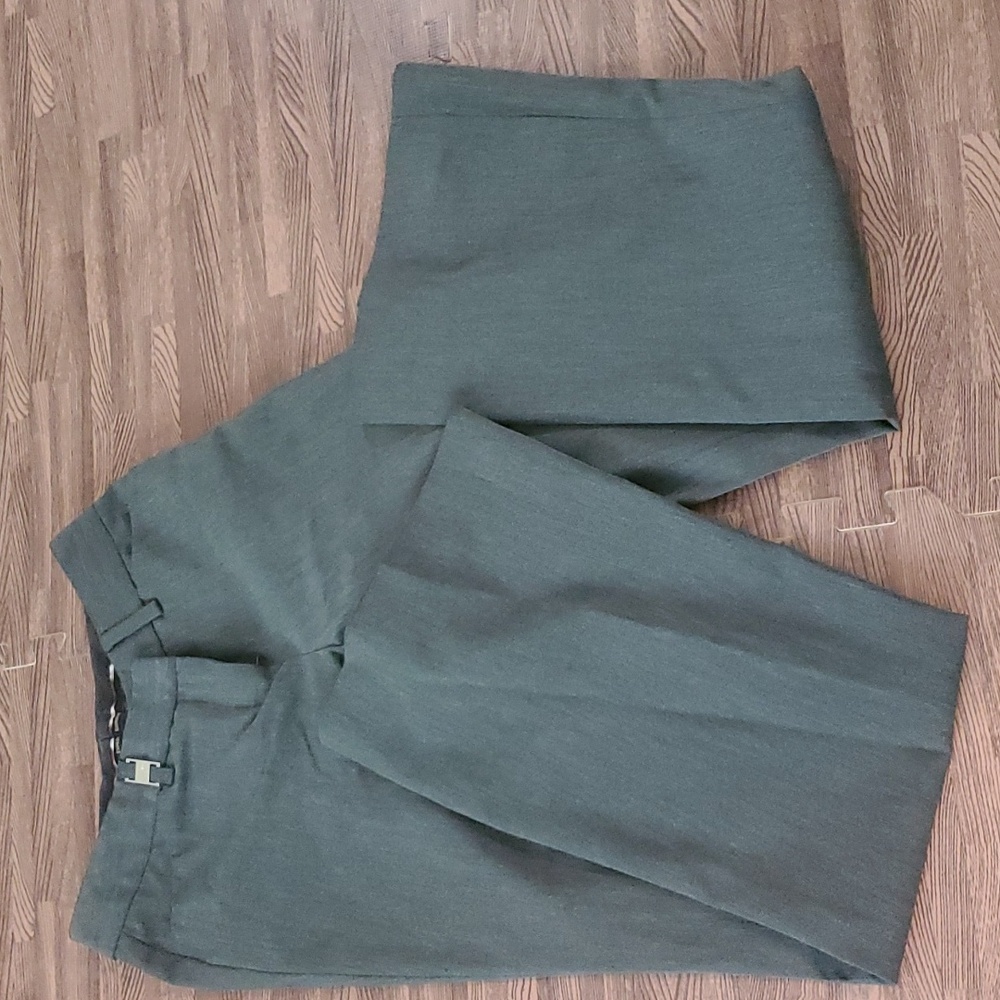 Express Slacks